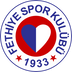 Fethiyespor takım simgesi