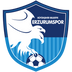 Erzurumspor takım simgesi